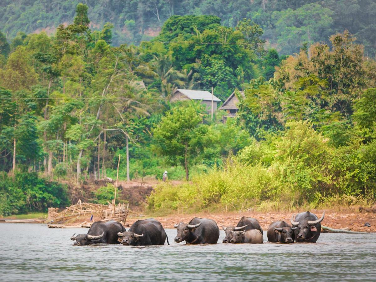 Muang La Lodge Buitenkant foto